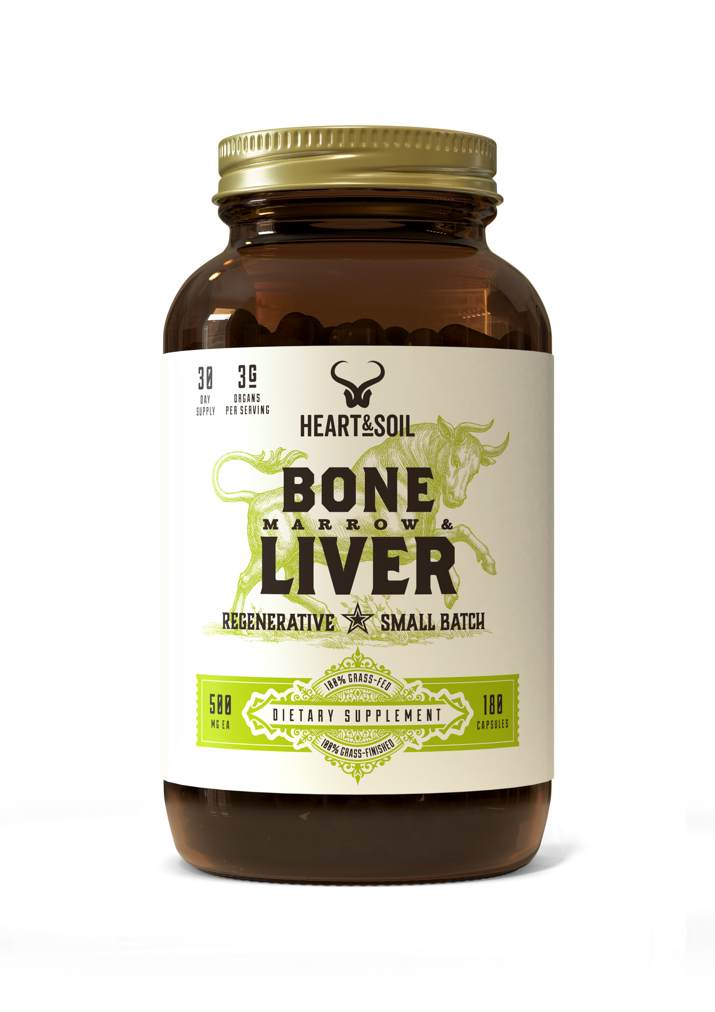 Bone Marrow & Liver