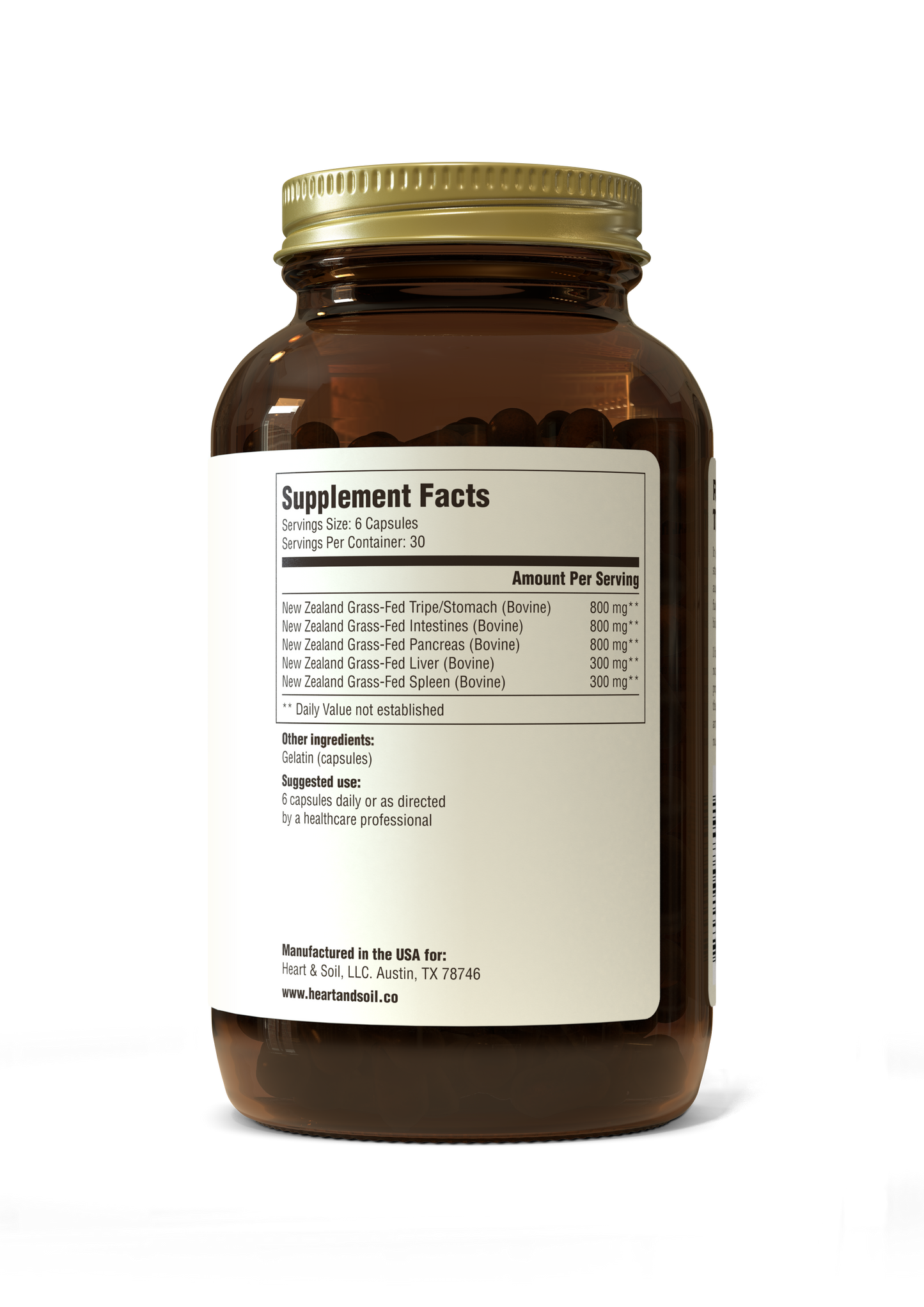 Gut & Digestion