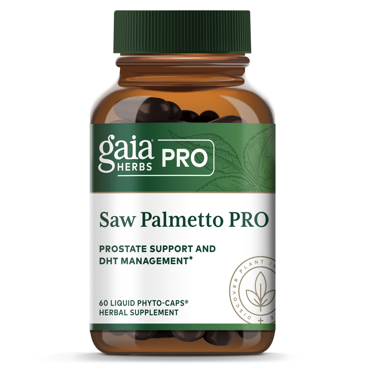 Saw Palmetto
