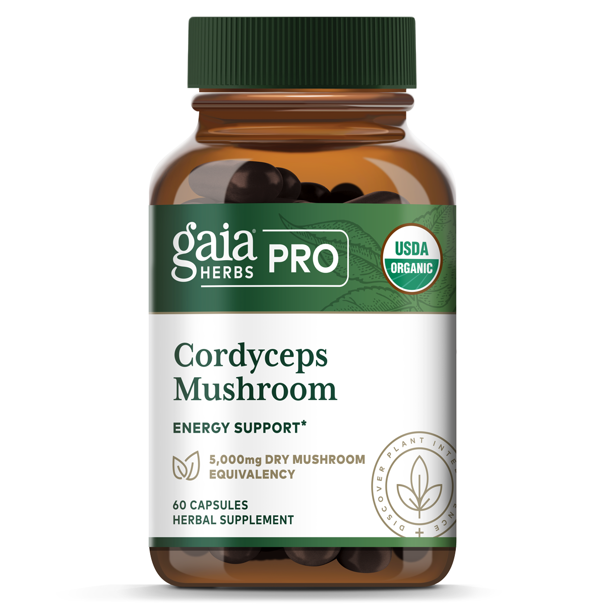 Cordyceps Mushroom