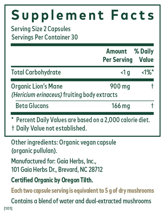 Lion's Mane Mushroom