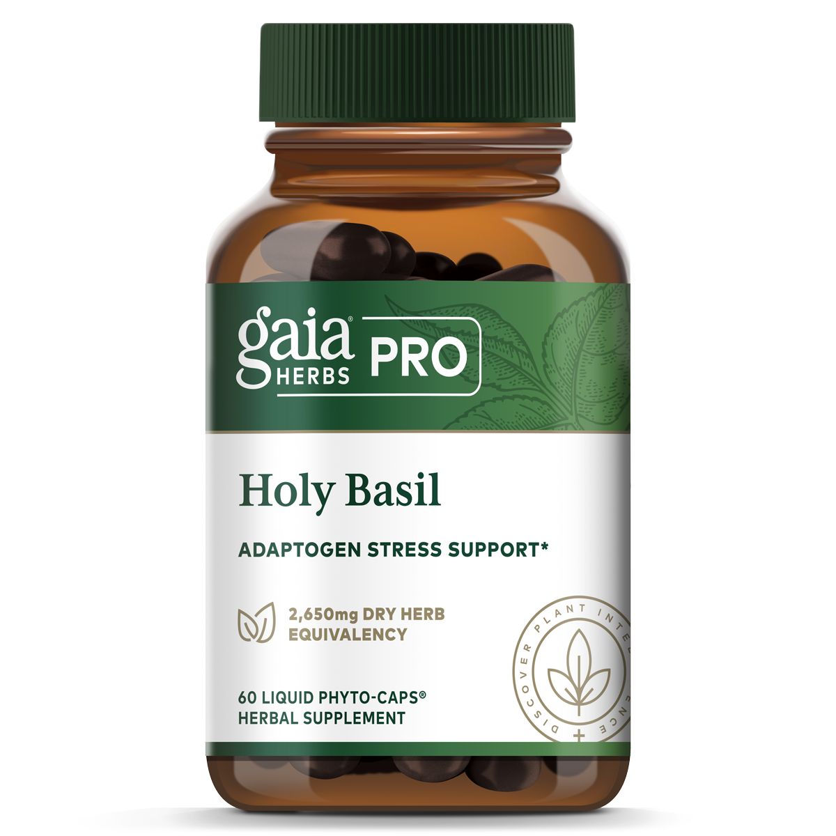Holy Basil