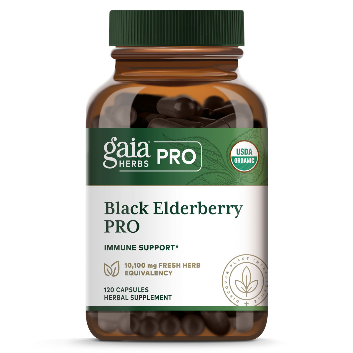 Black Elderberry PRO