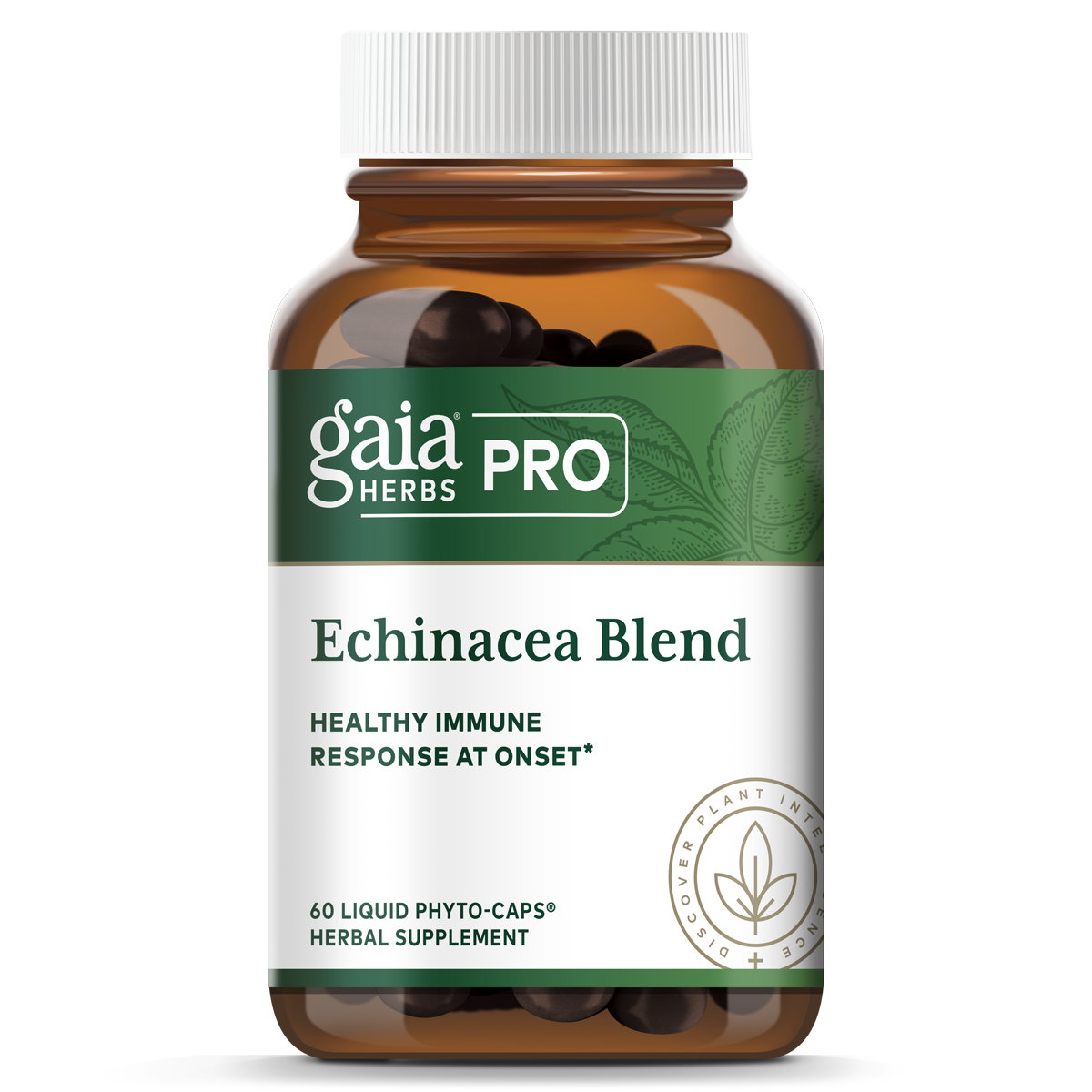 Echinacea Blend