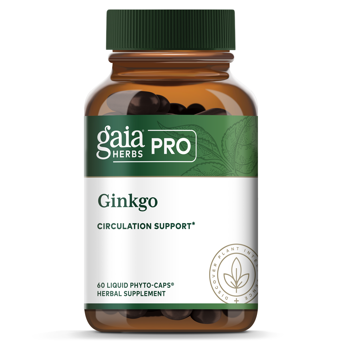Ginkgo