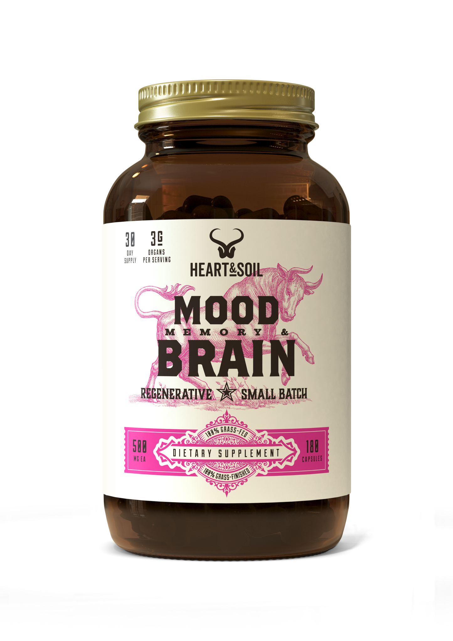 Mood, Memory & Brain
