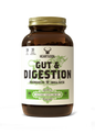 Gut & Digestion