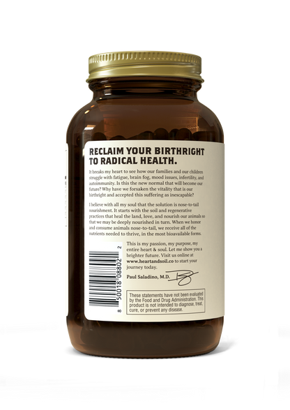 Gut & Digestion