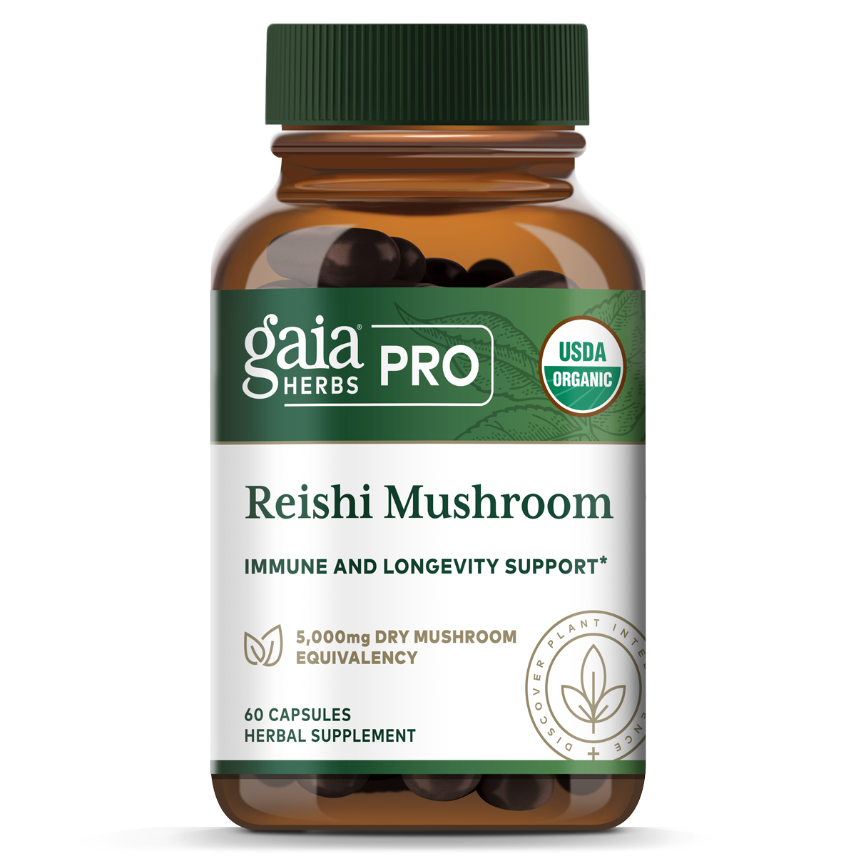Reishi Mushroom